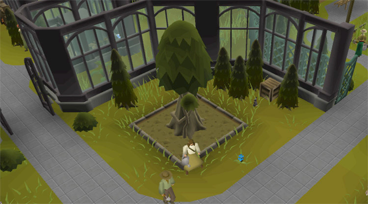 How Do You Get To The Farming Guild in OSRS    FandomSpot - 70