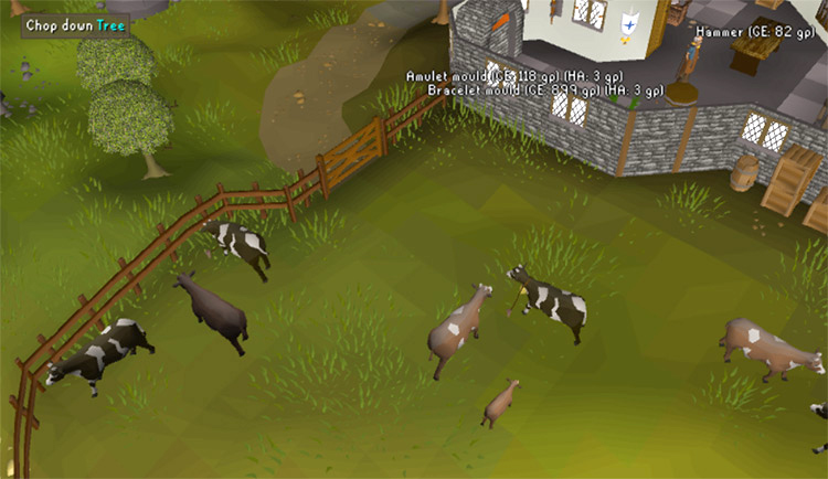Cow pen next to the Crafting Guild / OSRS