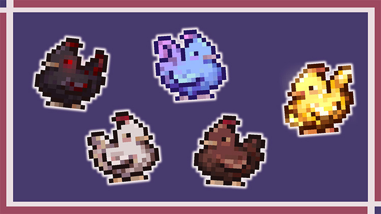 Better Chickens Mod for Stardew Valley