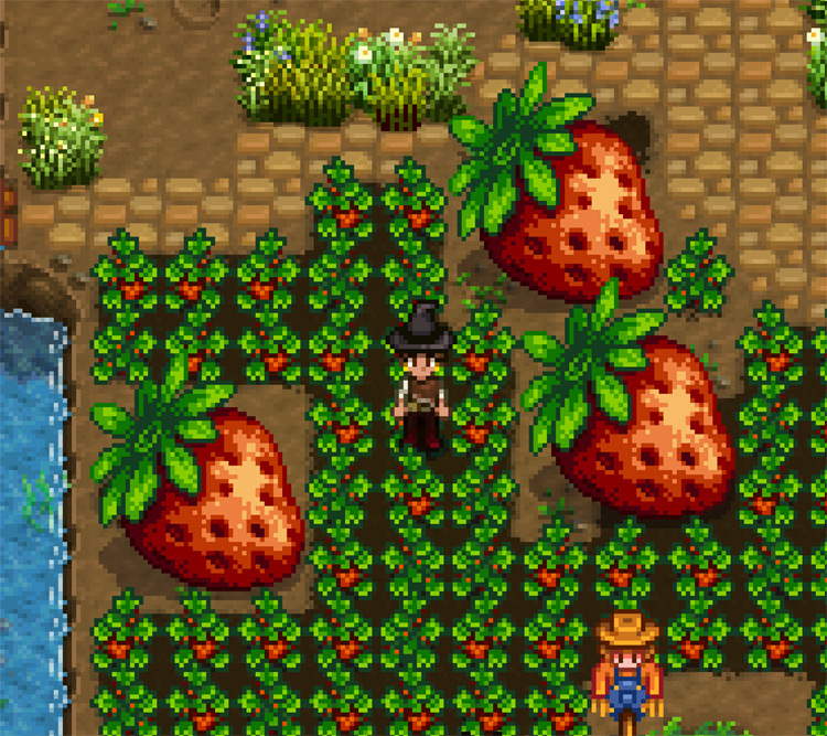 More Giant Crops Mod for Stardew Valley