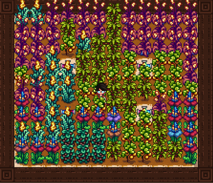 Ancient Crops Mod for Stardew Valley