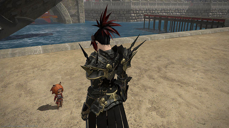 The Wind-up Mithra of FFXI, not to be confused with a Miqo'te / FFXIV