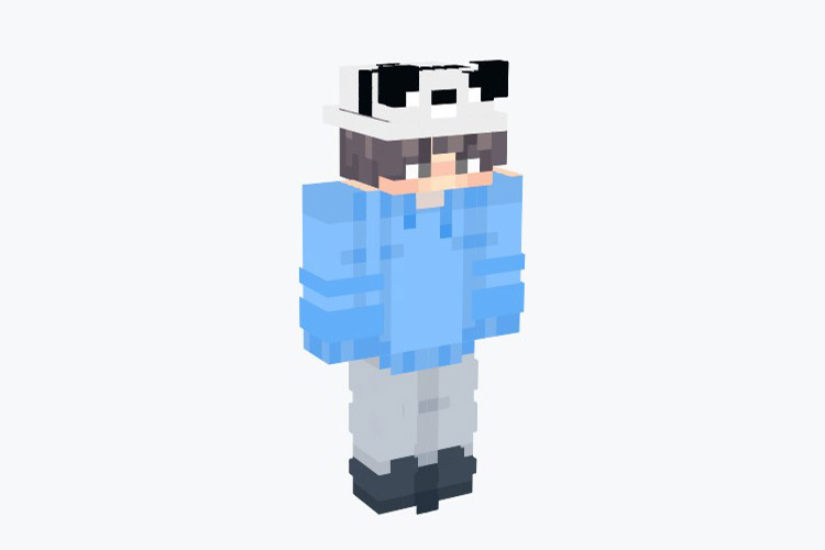 Blue Hoodie Boy with Panda Hat / Minecraft Skin
