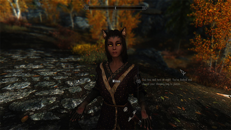 M'rissi's Tails of Troubles mod for Skyrim