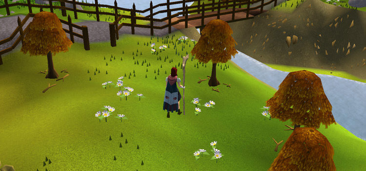 Maple trees by the river in OSRS