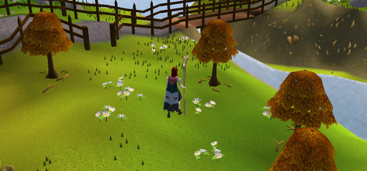 Maple tree farming osrs