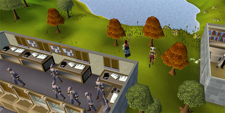 Maple trees behind the Seers’ bank / OSRS