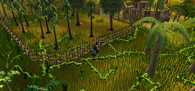 Hardwood Grove area in Karamja (OSRS)