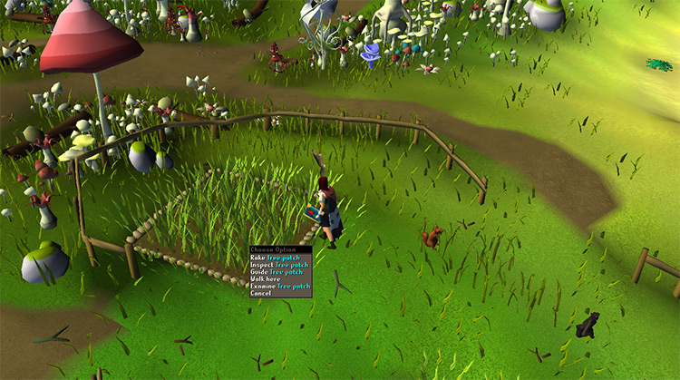 Empty farming patch on Fossil Island / OSRS