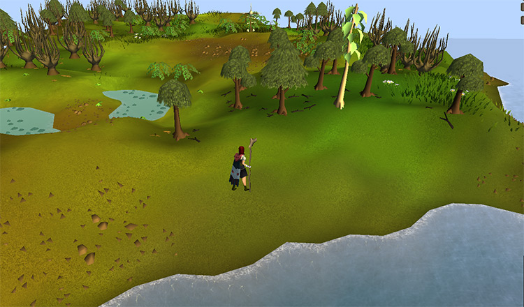 What Are The Best Teak Tree Spots in OSRS    FandomSpot - 16