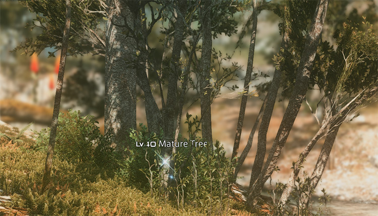 Lv40 Mature Tree Node Screenshot / FFXIV