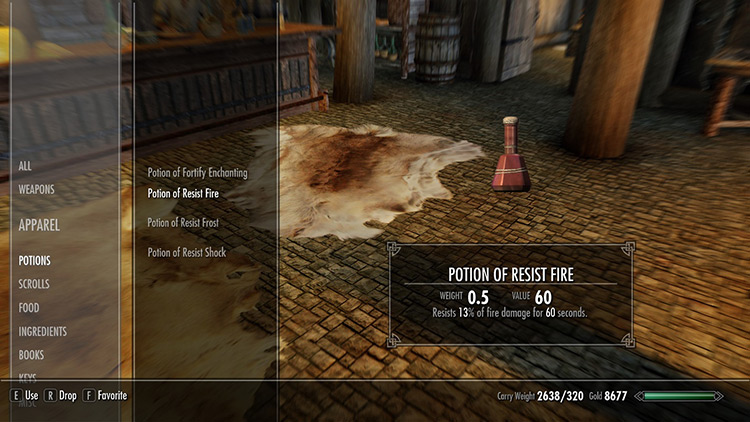 Potion of Resist Fire in Inventory / Skyrim