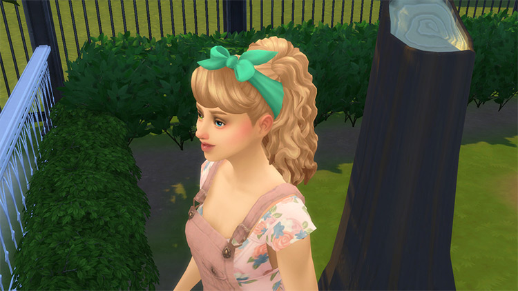 Curly Ponytails Set / Sims 4 CC