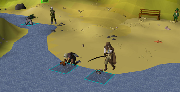 Fishing Spots At The Shore in Catherby / Old School RuneScape