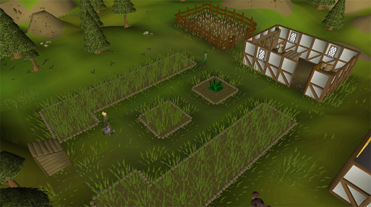 Patches behind the Bank in Catherby / OSRS