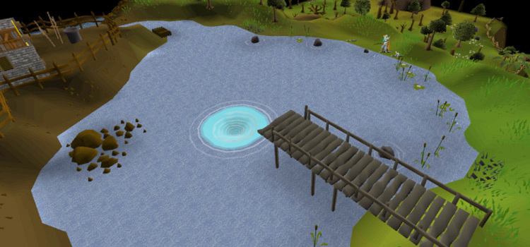 Baxtorian Falls Whirlpool Screenshot (OSRS)