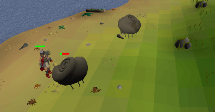 Ammonite Crabs at the Beach on Fossil Island / OSRS