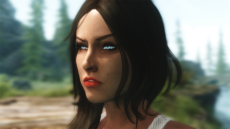 Skyrim  Best Celebrity Follower   Preset Mods  All Free    FandomSpot - 63