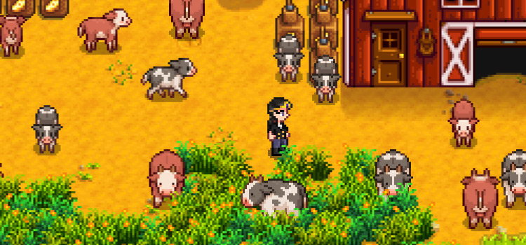 Dairy Cow Stardew All About Cow Photos   00 Featured Character Surrounded By New Cow Sprites From Ks Cow Replacers Stardew Valley Mod 