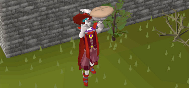 Player holding summer pie in OSRS