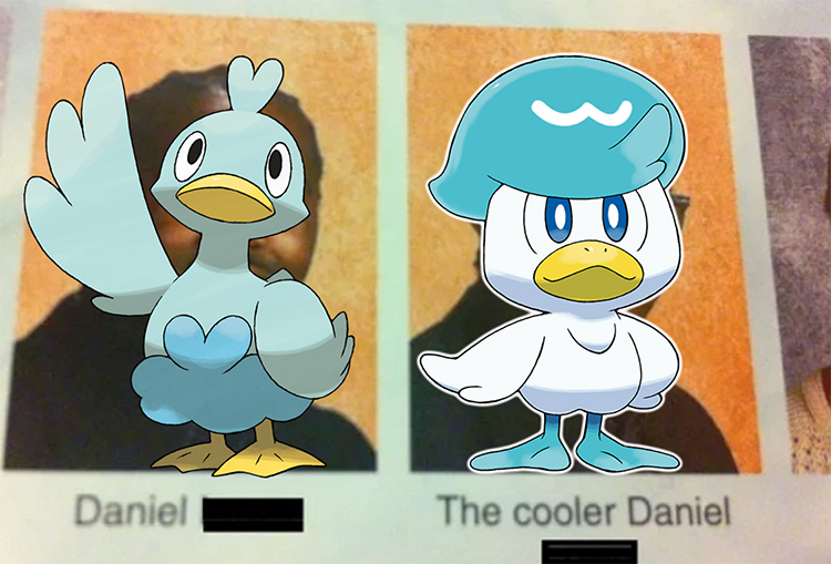 Daniel & The Cooler Daniel - Ducklett vs Quaxly meme