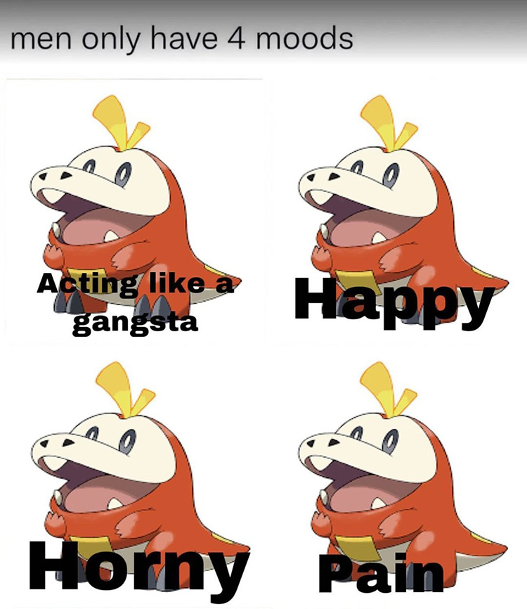 Fuecoco four moods Pokemon Scarlet & Violet meme