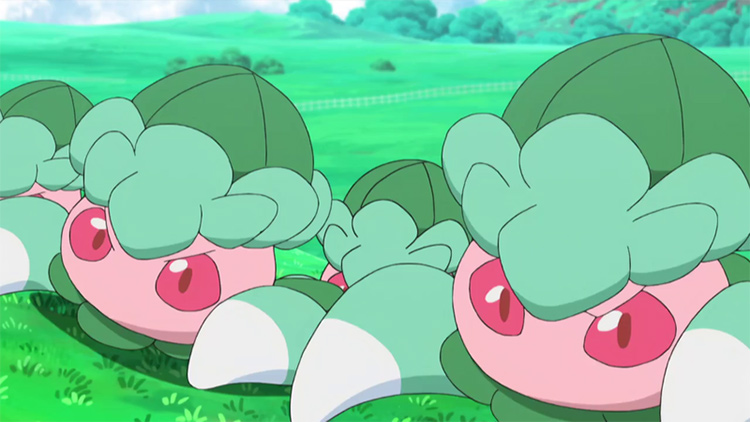 Fomantis from Pokemon anime