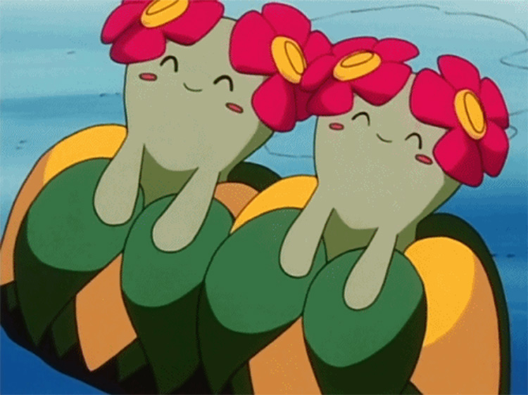 Bellossom in the anime