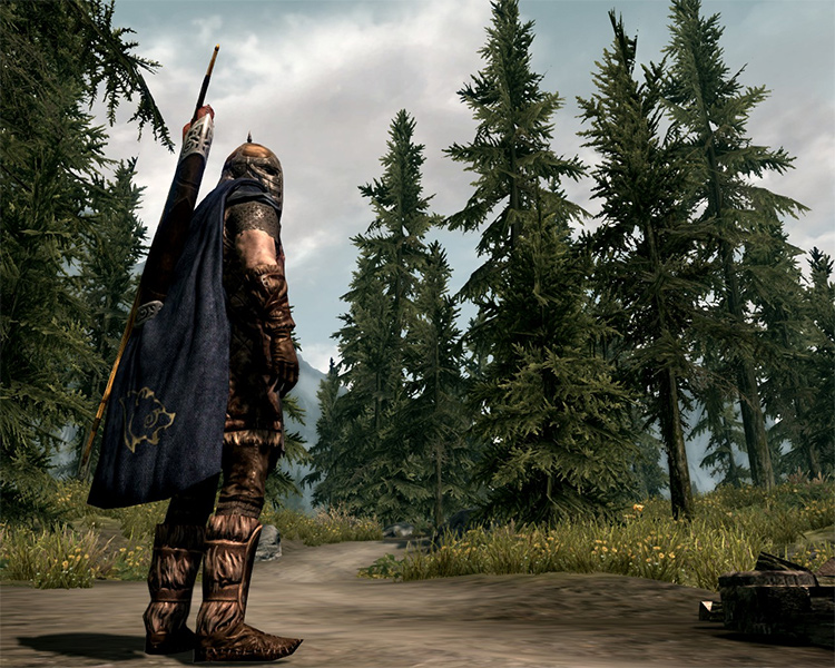 Cloaks of Skyrim mod