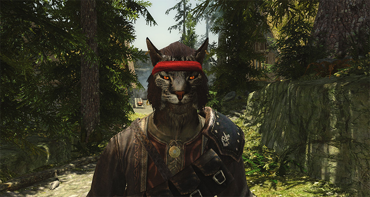 Bandanas of Skyrim mod