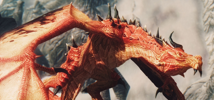 skyrim more dragons mod