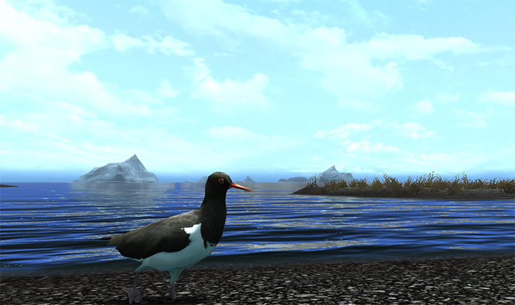 Birds of Skyrim mod