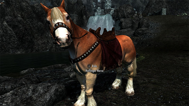 skyrim special edition immersive horses