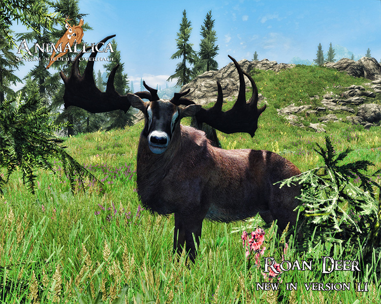 20 Best Skyrim Creature Mods For Custom Animals   Fierce Monsters   FandomSpot - 64