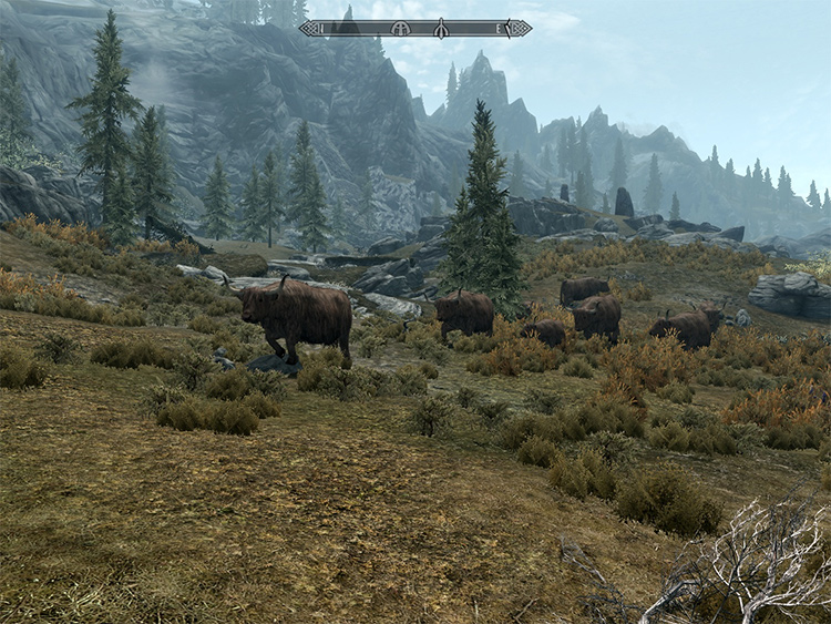 Real Wildlife in Skyrim