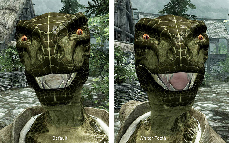 Whiter Teeth Skyrim mod