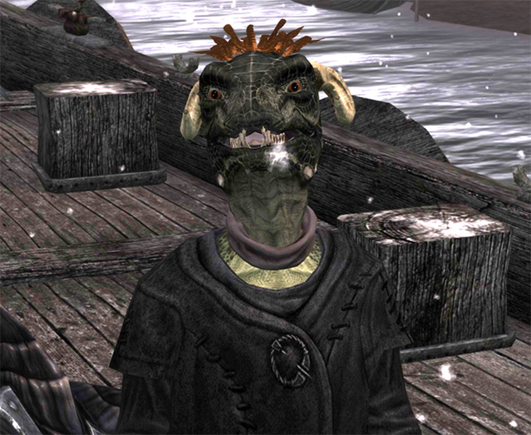 skyrim argonian player voice set mod