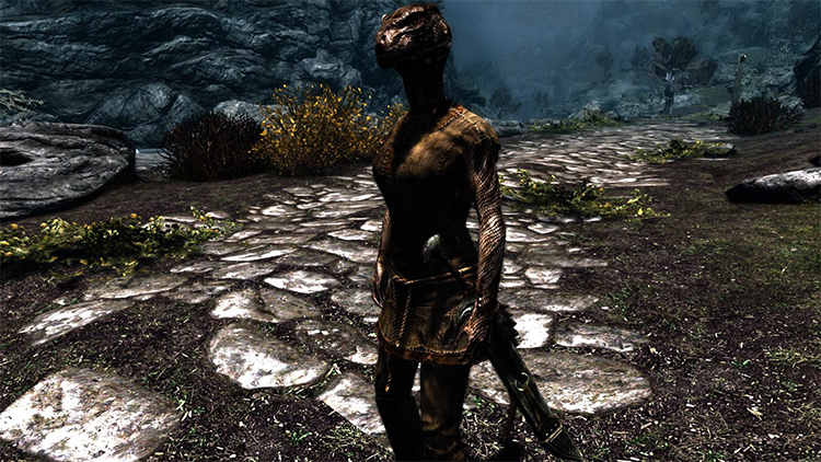 Argonian Retexture mod