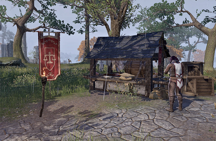 The Best Places To Sell Your Stuff in Skyrim   FandomSpot - 52