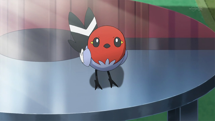 Fletchling in the anime