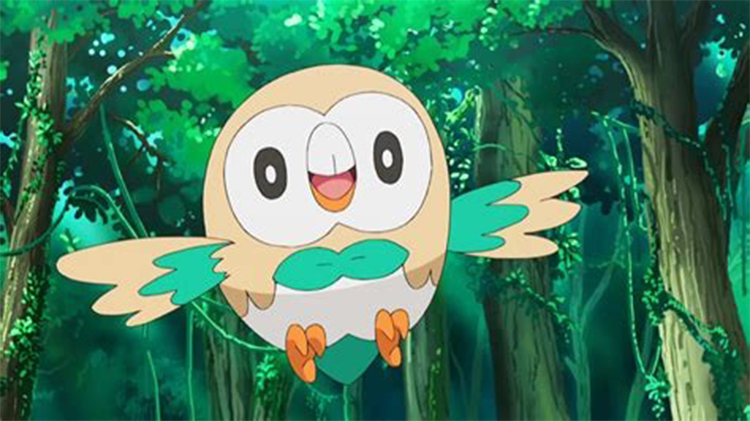 Rowlet in the anime