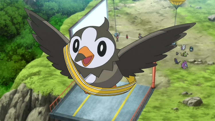 Starly in the anime