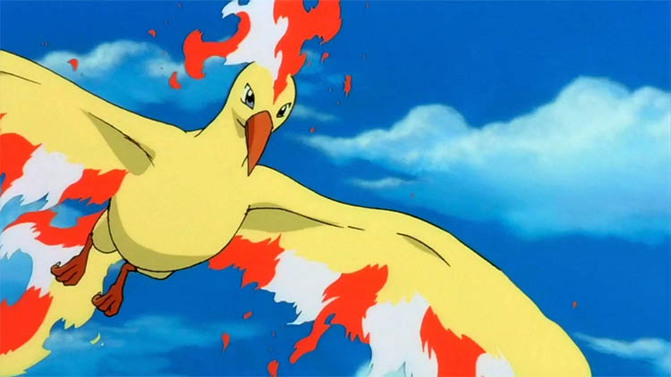 Moltres in the anime