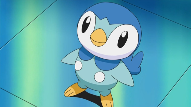 Piplup in the anime