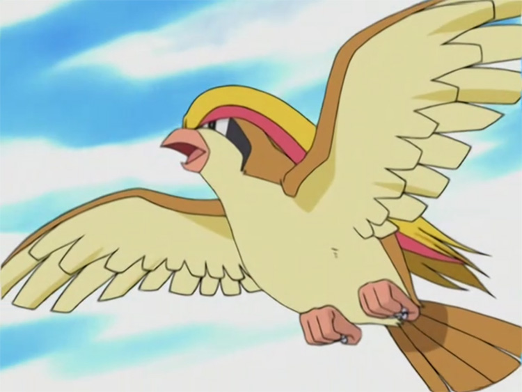 Pidgeot Pokemon in the anime