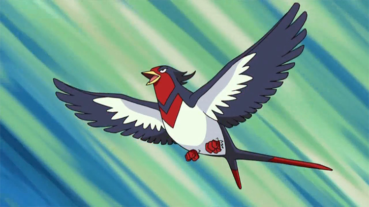 Swellow in the anime