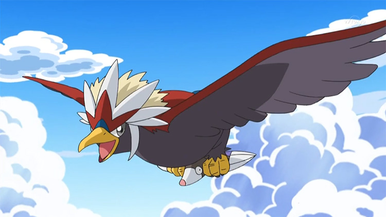 Braviary in the anime