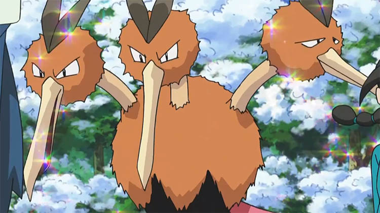 Dodrio in the anime