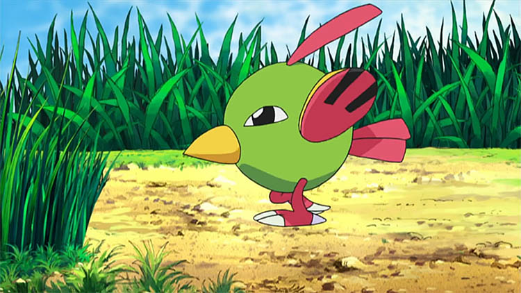 Top 55 Bird Styled Pokemon From All Games Ranked Fandomspot