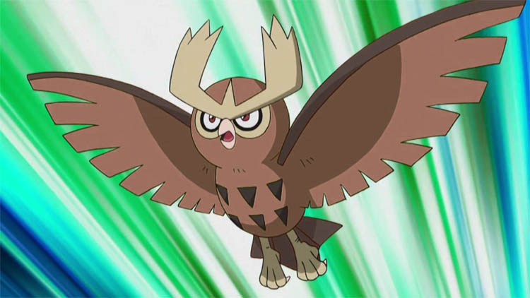 Noctowl in the anime
